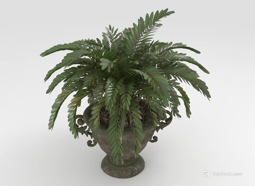 Lush Green Fern Like Plant With Healthy Foliage In Ornate Decorative Planter 3d model 