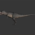 Realistic Dinosaur Model With Detailed Skin Texture Sharp Teeth And Gray Color 3d model