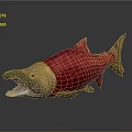 Red and Yellow Aquatic Fish with Open Mouth Yellow Head and Tail