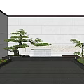 Serene Modern Courtyard Garden With White Walls Pine Tree Stone Pavement And Blue Sky