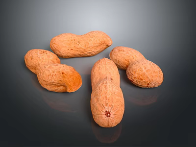 Fresh Raw Brown Peanuts In Natural Shell Arranged On Dark Reflective Background 3d model