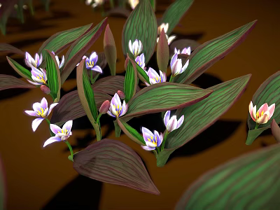 Lush Garden Plants with Green Purple Striped Leaves and Delicate White Purple Flowers 3d model