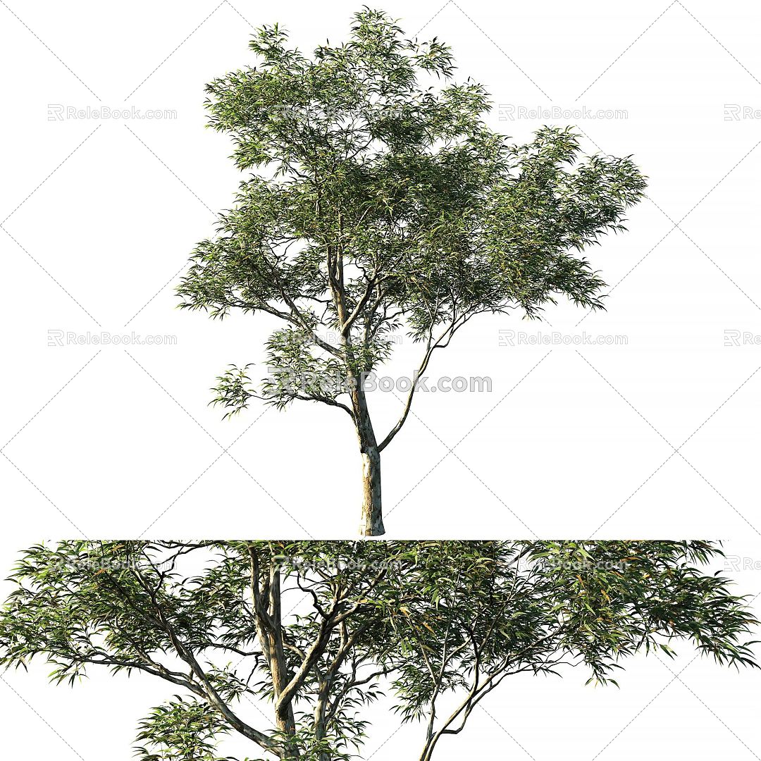 The Modern Tree 3d model