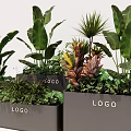 Gray Square Flower Planters With Various Green Plants Featuring LOGO Design 3d model