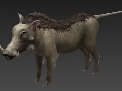 3D Model of Warthog With Detailed Fur And Natural Standing Posture 3d model