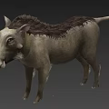 3D Model of Warthog With Detailed Fur And Natural Standing Posture