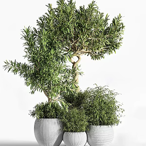 modern potted plant green plant potted plant potted plant flower pot flower bed potted plant combination indoor potted plant indoor green plant 3d model