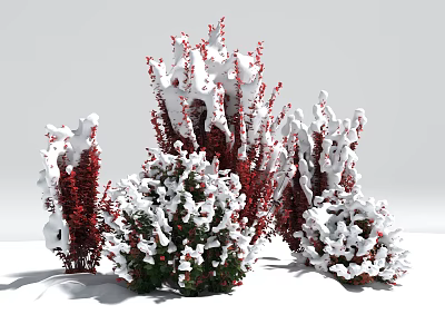 Snow Covered Decorative Shrubs With Red Branches And Berries In Winter Garden 3d model