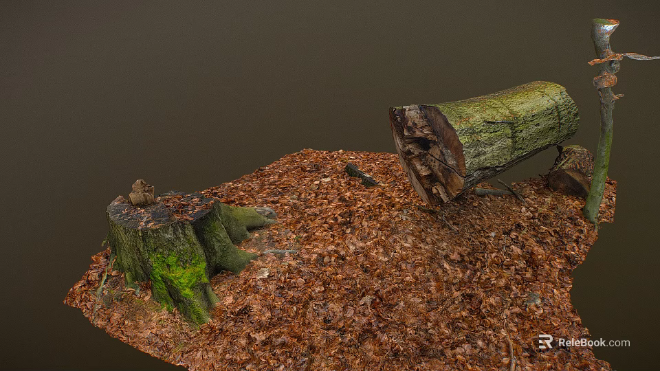 Moss Covered Stone And Wooden Stump With Fallen Logs On Leaf Littered Ground 3d model 
