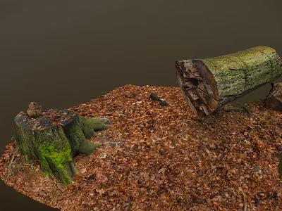 Moss Covered Stone And Wooden Stump With Fallen Logs On Leaf Littered Ground 3d model