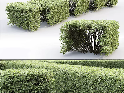 Neatly Trimmed Green Bushes for Garden Landscaping with Various Shapes and Arrangement 3d model