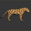Yellow Cheetah Model With Black Spots Standing On Reflective Surface