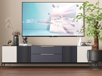 Modern TV Cabinet TV Green Plant Potted Plant 3d model