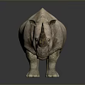 White Rhinoceros Standing Against Dark Background With Detailed Skin Texture And Horns