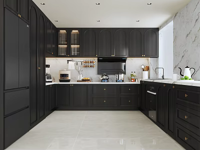Modern Kitchen Interior With Dark Cabinets Marble Wall Island Counter And Appliances 3d model
