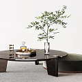 Modern Coffee Table With Black Top Brown Base Green Plant And Tray Decor