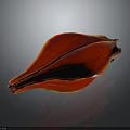 Red Flower Petal With Yellow Veins On Dark Reflective Surface