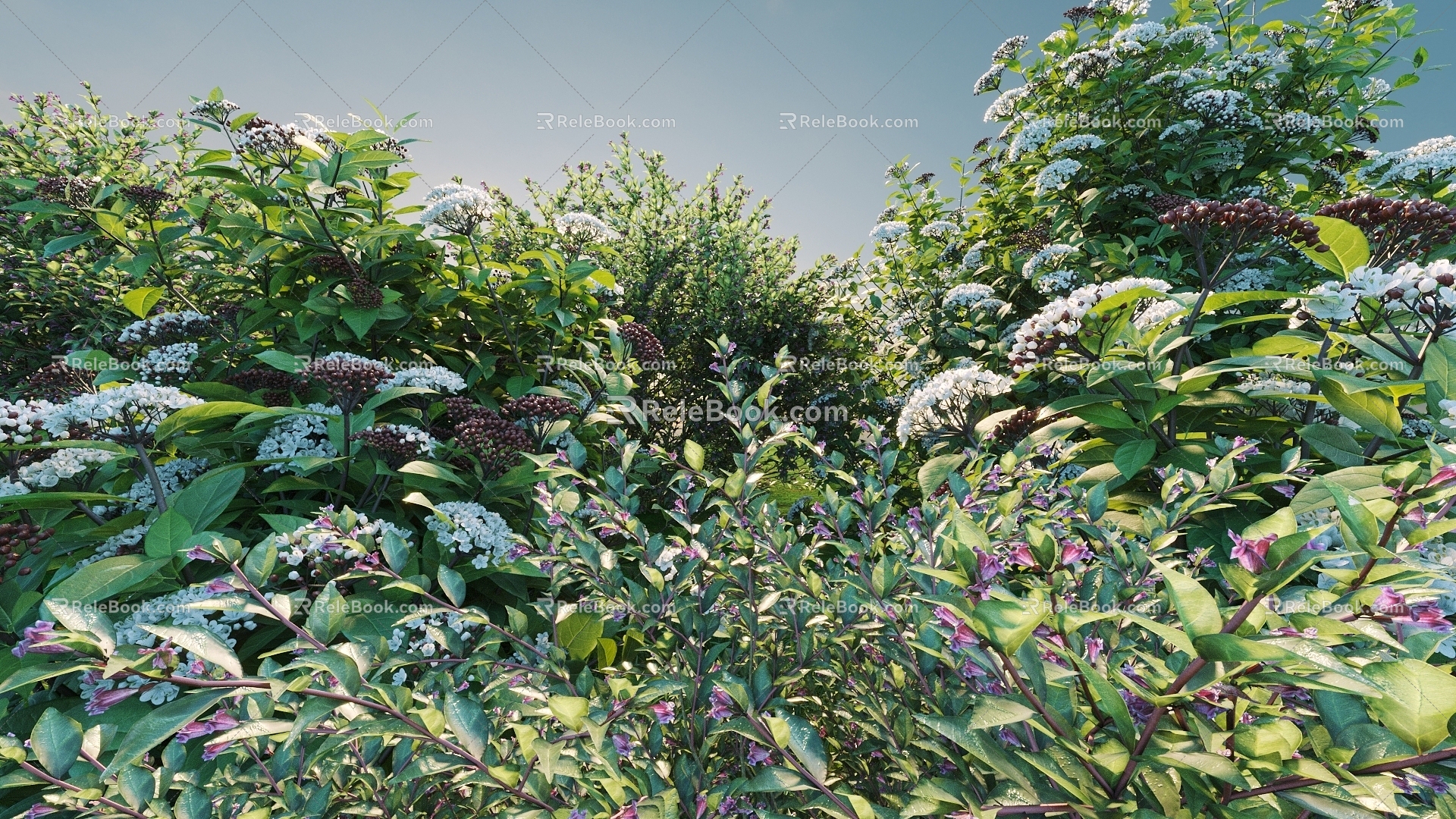 Flowers and Plants Combination Landscape Shrubs Shrubs Plant Combination Natural Landscape 3d model