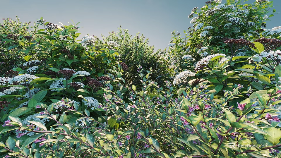 Lush Garden Bushes With White And Purple Flowers And Green Leaves 3d model 