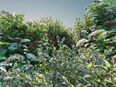 Lush Garden Bushes With White And Purple Flowers And Green Leaves 3d model