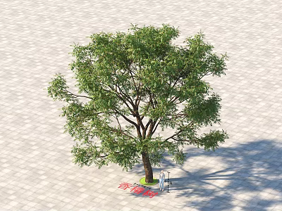 Lush Green Tree With Dense Foliage And Thick Trunk On Paved Ground 3d model