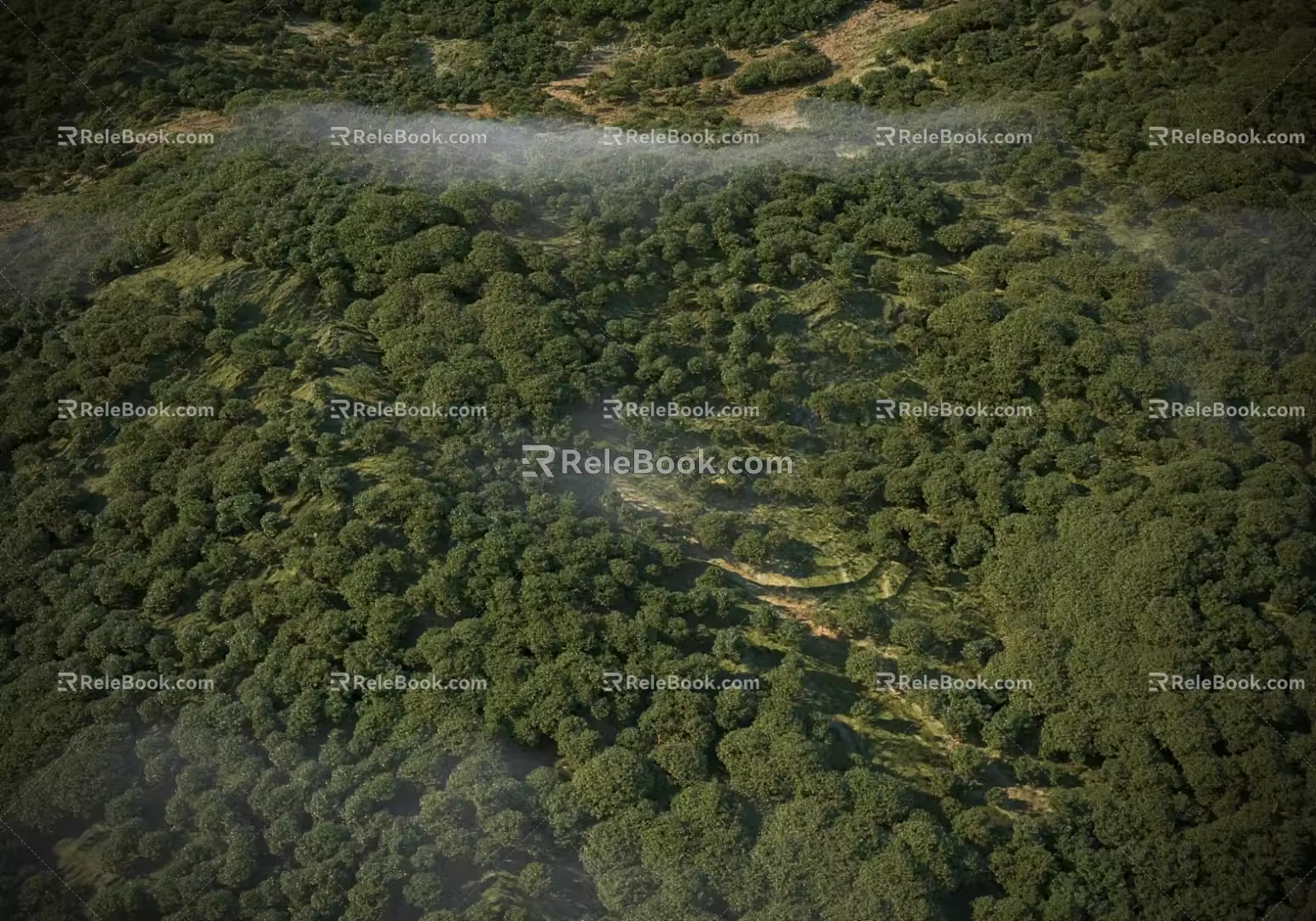 Modern Mountain Modern Tree Forest Bird's Eye View Mountain Forest Bird's Eye View Aerial View 3d model