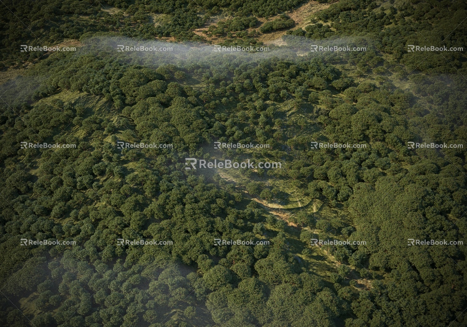 Modern Mountain Modern Tree Forest Bird's Eye View Mountain Mountain Forest Bird's Eye View Aerial View 3d model