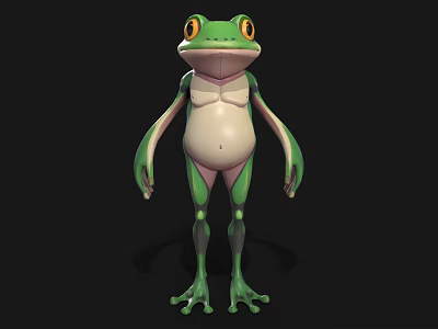 3D Green Frog Model With White Belly Big Eyes And Standing Pose 3d model