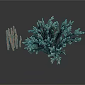 Realistic Organ Models And Natural Hair Samples On White Background