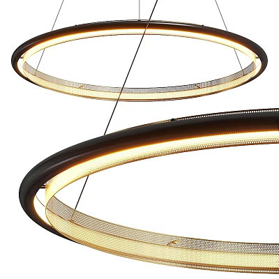 Modern Circular Chandelier With Double Rings LED Light Strip And Black Metal Frame 3d model