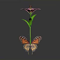 Monarch Butterfly Perched On Pink Lily With Green Stem And Leaves Against Dark Background