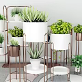 Bonsai Potted Plants Display On Multi Tiered Metal Stands With White And Copper Pots
