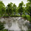 Trees Forest Scenes Trees Shrubs Big Trees Green Plant Trunks 3d model
