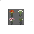 Colorful Flowers in Transparent Glass Vases Including Red Tulips Pink Lilies and Roses