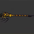 Vibrant Yellow and Orange Dragonfly with Black Striped Abdomen Compound Eyes and Transparent Wings