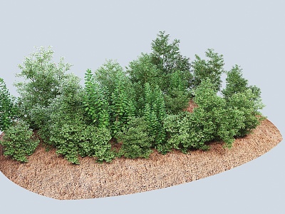 Modern Trees Forest Group Trees Garden Landscape Trees Shrubs 3d model