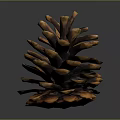 Brown and Orange Pine Cone with Detailed Scales on Dark Background 3d model