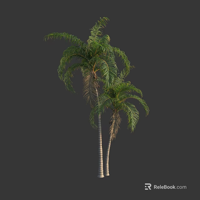 Two Tall Palm Trees With Green Fronds And Slender Trunks In Natural Scene 3d model 