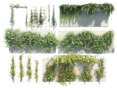 Various Decorative Vines Including Climbing Hanging And Wall Covering Greenery For Decoration 3d model