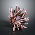 Sea Urchin With Spherical Body And Brown Pink Tentacle Like Appendages