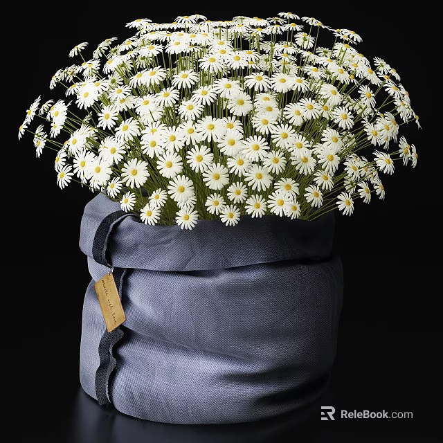 Decorative Bonsai Potted Plant with White Daisy Flowers in Gray Cloth Bag and Tag 3d model 