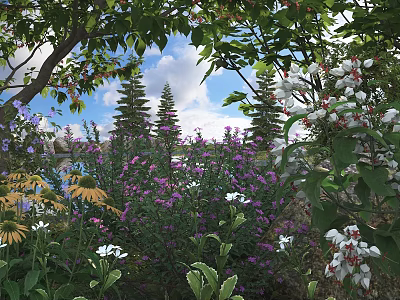 Vibrant Plant Combination with Purple Flowers White Blooms Yellow Blossoms Lush Green Foliage and Trees 3d model