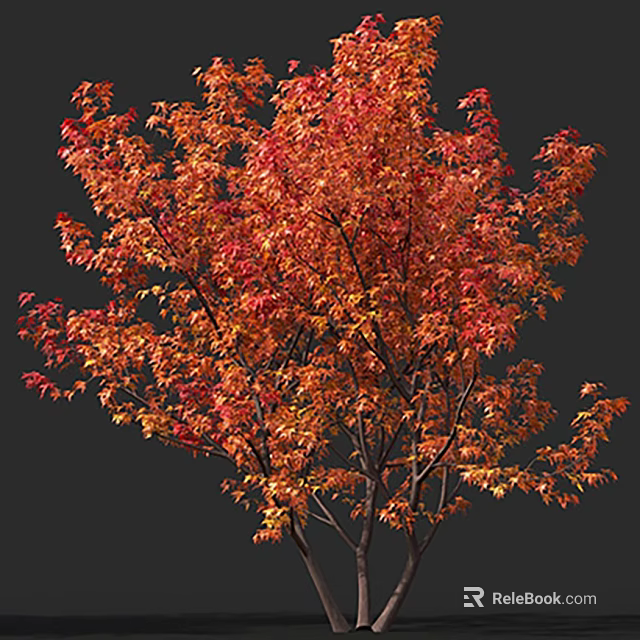 Vibrant Autumn Arbor With Red And Orange Foliage On Dark Background 3d model 