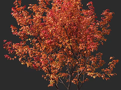Vibrant Autumn Arbor With Red And Orange Foliage On Dark Background 3d model