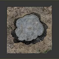Natural Wooden Tree Stump Cross Section on Square Stone Base with Soil and Grass