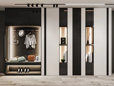Modern Shoe Cabinet With Hanging Area Storage Shelves And Decorative Lighting 3d model
