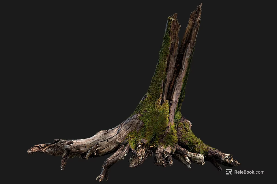 Natural Wood Stump With Moss Covered Roots And Weathered Texture Against Dark Background 3d model 