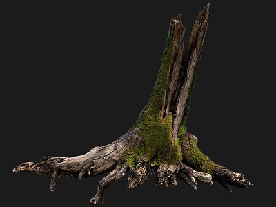 Natural Wood Stump With Moss Covered Roots And Weathered Texture Against Dark Background 3d model