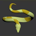 snake cobra venomous snake python reptile cold-blooded animal reptile 3d model