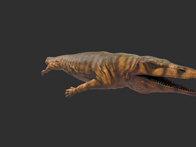 Realistic Prehistoric Aquatic Reptile 3D Model With Striped Skin Open Mouth And Sharp Teeth 3d model